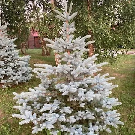 Letniskowe W Sercu Natury Swierkocin (Warmian-Masurian)