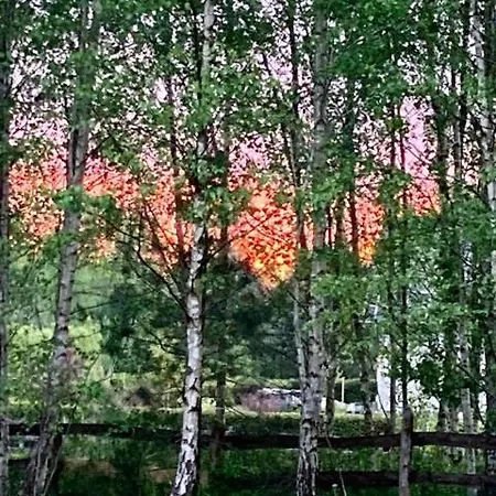 Letniskowe W Sercu Natury *