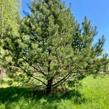 Feriepark Letniskowe W Sercu Natury *