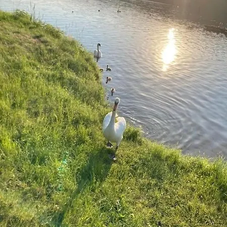 Letniskowe W Sercu Natury Feriepark Swierkocin (Warmian-Masurian)