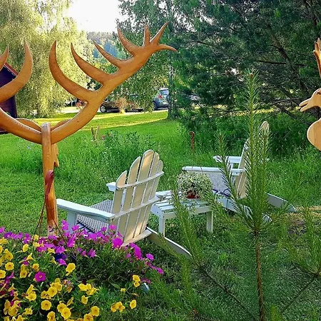 Letniskowe W Sercu Natury *