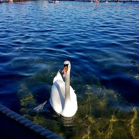 Feriepark Letniskowe W Sercu Natury Swierkocin (Warmian-Masurian)