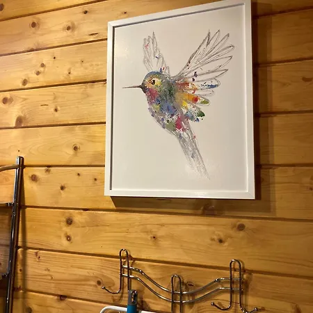 Letniskowe W Sercu Natury